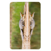 Krokodil Magnet (Vertikal)