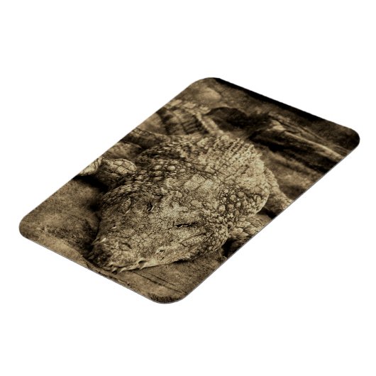 Krokodil Magnet (Linke Seite)