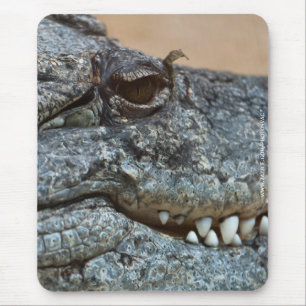 Krokodil Mousepad