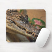 Krokodil Mousepad (Mit Mouse)