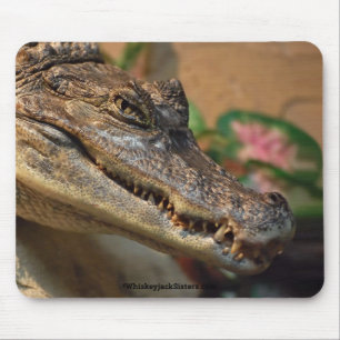 Krokodil Mousepad