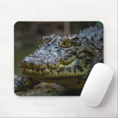 Krokodil Mousepad (Mit Mouse)