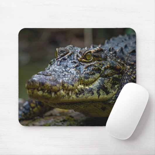 Krokodil Mousepad (Mit Mouse)
