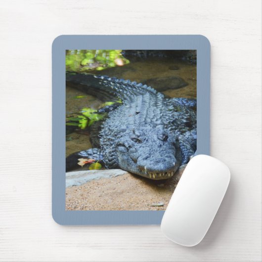 Krokodil Mousepad (Mit Mouse)