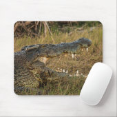 Krokodil Mousepad (Mit Mouse)