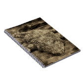 Krokodil Notizblock (Rechte Seite)