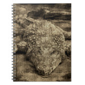 Krokodil Notizblock (Vorderseite)