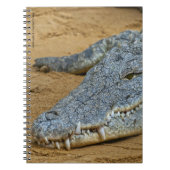 Krokodil Notizblock (Vorderseite)