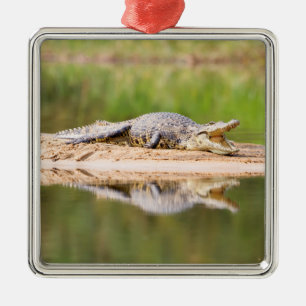 Krokodil Ornament Aus Metall