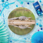 Krokodil Pappteller (Party)