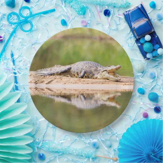 Krokodil Pappteller (Party)