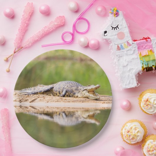 Krokodil Pappteller (Party)