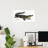 Krokodil Poster (Heimbüro)