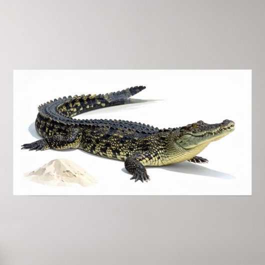 Krokodil Poster (Vorne)