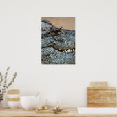 Krokodil Poster (Küche)