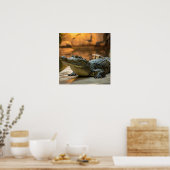 Krokodil Poster (Küche)