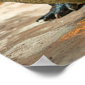 Krokodil Poster (Ecke)