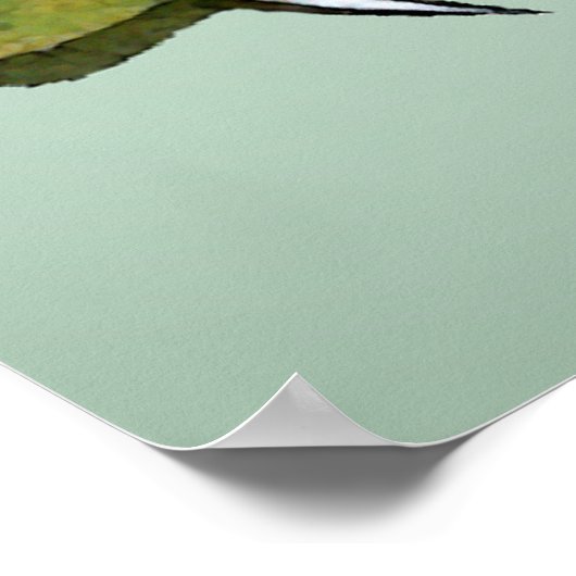 Krokodil Poster (Ecke)