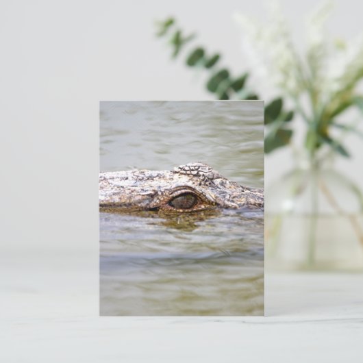 Krokodil Postkarte (Stehend Vorderseite)