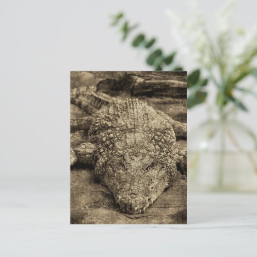 Krokodil Postkarte (Stehend Vorderseite)