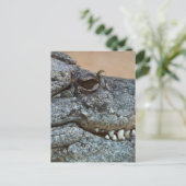 Krokodil Postkarte (Stehend Vorderseite)