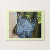 Krokodil Puzzle (Horizontal)