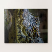 Krokodil Puzzle (Horizontal)