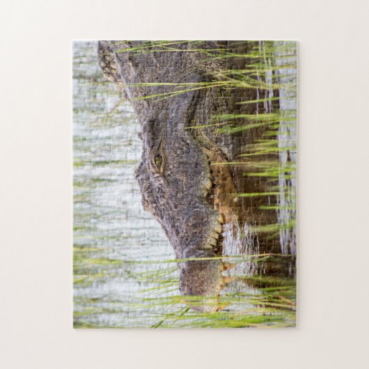 Krokodil Puzzle (Vertikal)