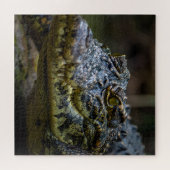 Krokodil Puzzle (Horizontal)