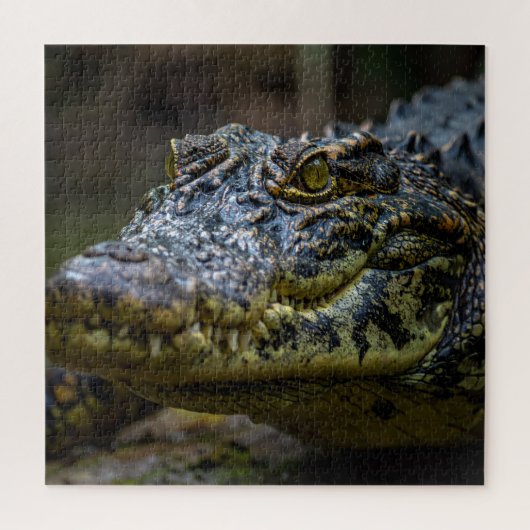 Krokodil Puzzle (Vertikal)