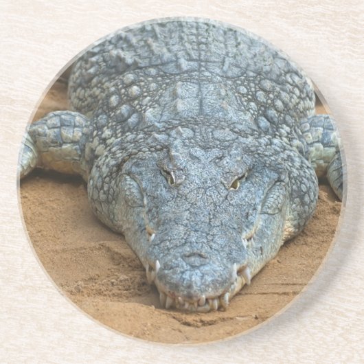 Krokodil Sandstein Untersetzer (Vorne)
