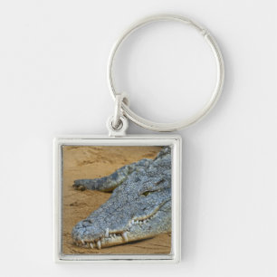 Krokodil Schlüsselanhänger