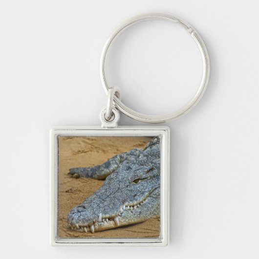 Krokodil Schlüsselanhänger (Vorne)