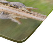 Krokodil Schneidebrett (Ecke)