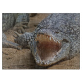 Krokodil Schneidebrett (Vorderseite)