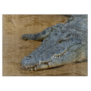 Krokodil Schneidebrett