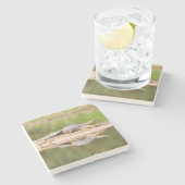 Krokodil Steinuntersetzer (Seitenansicht)