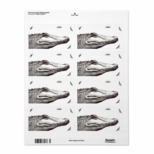 Krokodilalligatorin Libellen zeichnend Kunst (Vorne)