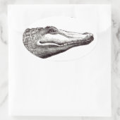 Krokodilalligatorin Libellen zeichnend Kunst Ovaler Aufkleber (Tasche)