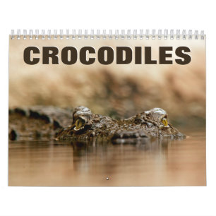 Krokodile 2022 Mauerkalender Kalender