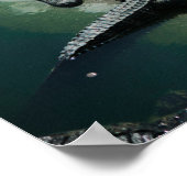 Krokodile auf einem Riverbank Poster (Ecke)