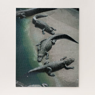 Krokodile auf einem Riverbank Puzzle