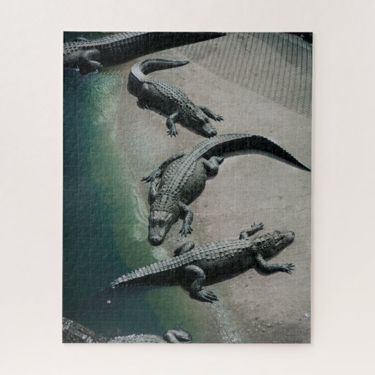 Krokodile auf einem Riverbank Puzzle (Vertikal)