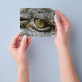 Krokodile-Augen-Gesicht Tier personalisieren Gaume Flyer (Gruppe)