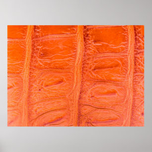 Krokodile Bauchhautstruktur Hintergrund. Dieses Bi Poster