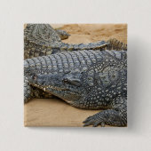 Krokodile Button (Vorderseite)