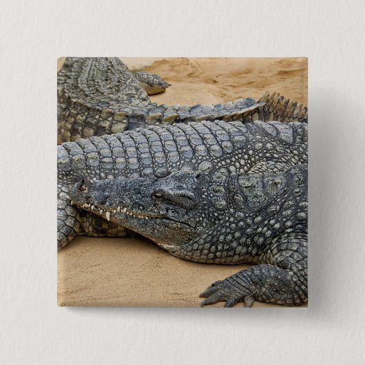 Krokodile Button (Vorderseite)