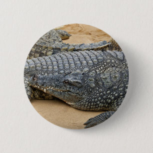 Krokodile Button