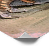 Krokodile Eating Snake Poster (Ecke)