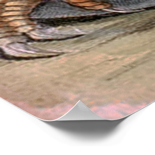 Krokodile Eating Snake Poster (Ecke)